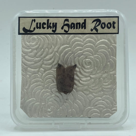 Lucky Hand Root