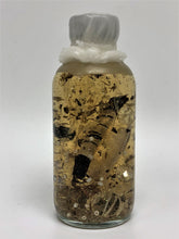 Load image into Gallery viewer, Bewitchment Charm Bottle
