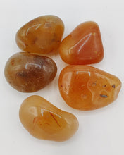 Load image into Gallery viewer, Gemstone - Carnelian
