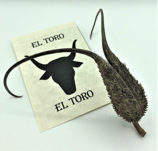 El Toro