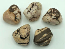 Load image into Gallery viewer, Gemstone - Zebra Jasper
