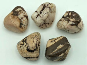 Gemstone - Zebra Jasper