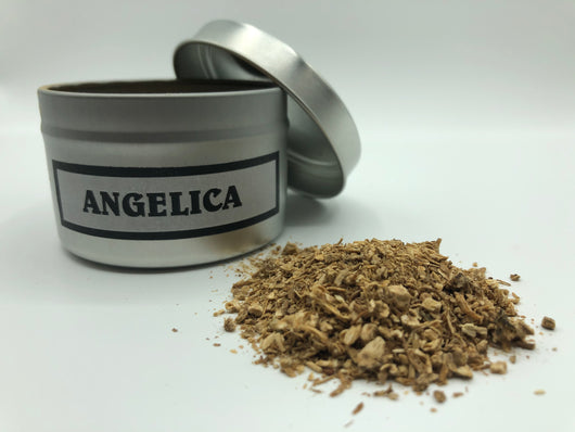 Angelica Root