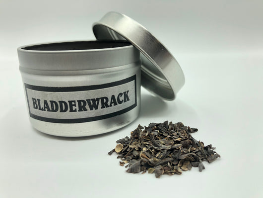 Bladderwrack