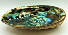 Load image into Gallery viewer, Shell--Abalone Smudge
