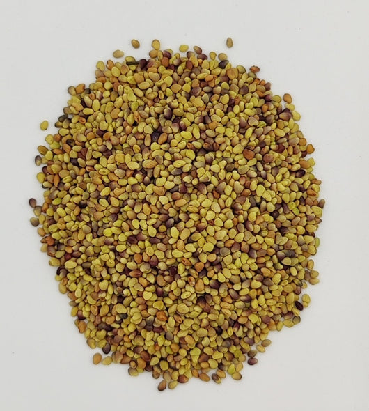 Red Clover Seed