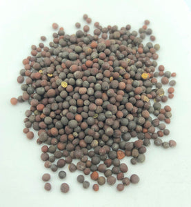 Black Mustard Seeds