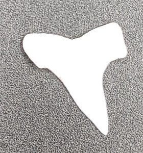 Shark Tooth